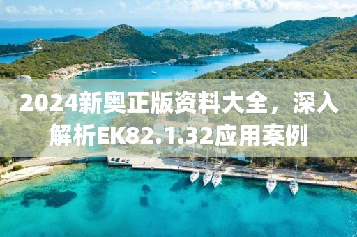 2024新奥正版资料大全，深入解析EK82.1.32应用案例