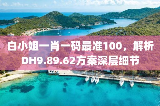 白小姐一肖一码最准100，解析DH9.89.62方案深层细节