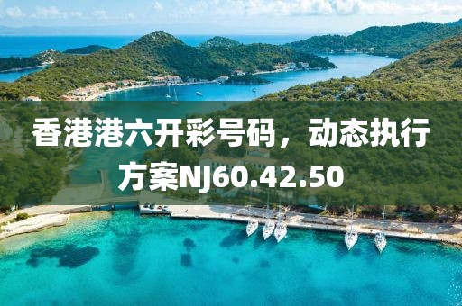 香港港六开彩号码，动态执行方案NJ60.42.50