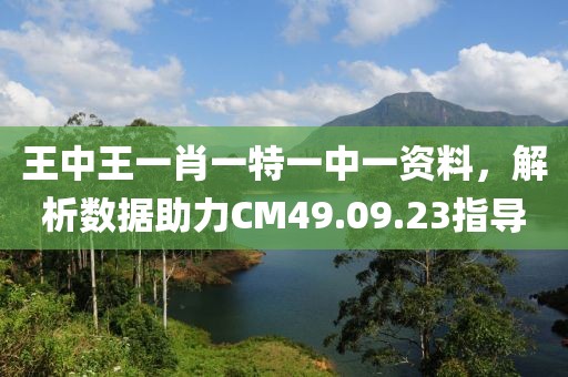 王中王一肖一特一中一资料，解析数据助力CM49.09.23指导