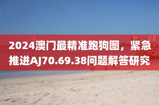 2024澳门最精准跑狗图，紧急推进AJ70.69.38问题解答研究