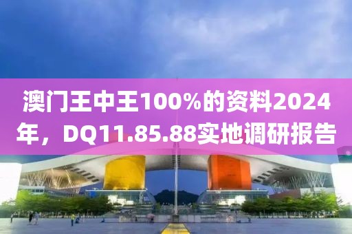 澳门王中王100%的资料2024年，DQ11.85.88实地调研报告