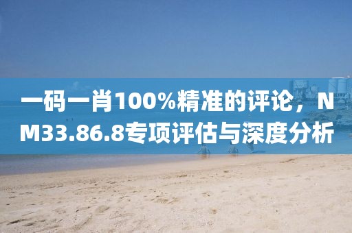 一码一肖100%精准的评论，NM33.86.8专项评估与深度分析
