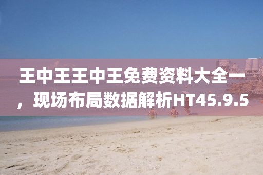 王中王王中王免费资料大全一，现场布局数据解析HT45.9.50