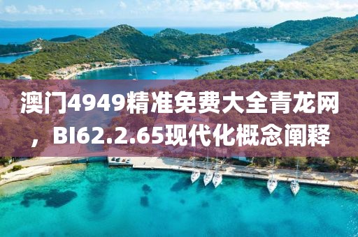 澳门4949精准免费大全青龙网，BI62.2.65现代化概念阐释
