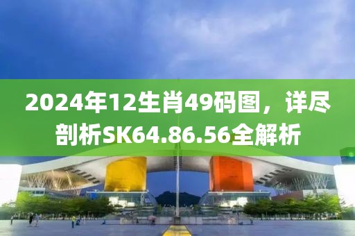 2024年12生肖49码图，详尽剖析SK64.86.56全解析