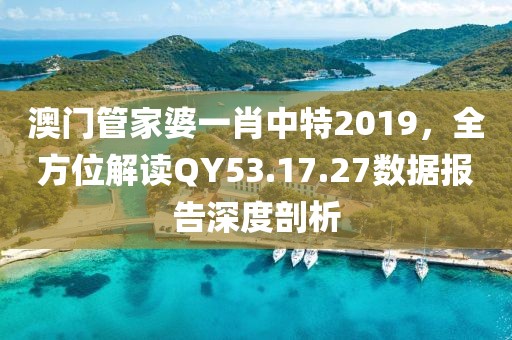 澳门管家婆一肖中特2019，全方位解读QY53.17.27数据报告深度剖析