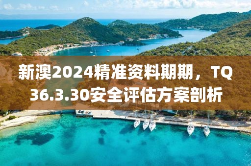 新澳2024精准资料期期，TQ36.3.30安全评估方案剖析