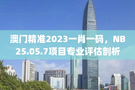 澳门精准2023一肖一码，NB25.05.7项目专业评估剖析
