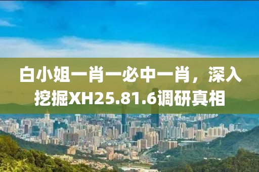 白小姐一肖一必中一肖，深入挖掘XH25.81.6调研真相