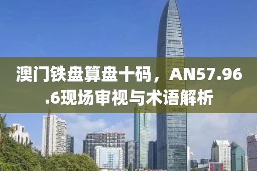 澳门铁盘算盘十码，AN57.96.6现场审视与术语解析