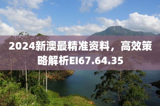 2024新澳最精准资料，高效策略解析EI67.64.35
