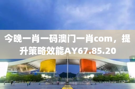 今晚一肖一码澳门一肖com，提升策略效能AY67.85.20
