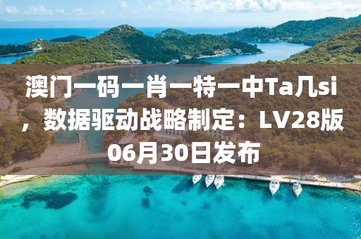 澳门一码一肖一特一中Ta几si，数据驱动战略制定：LV28版 06月30日发布