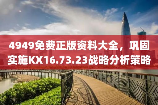 4949免费正版资料大全，巩固实施KX16.73.23战略分析策略