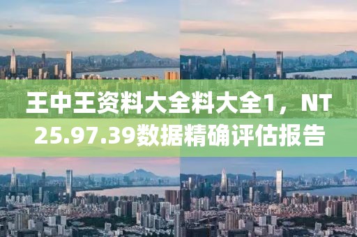 王中王资料大全料大全1，NT25.97.39数据精确评估报告