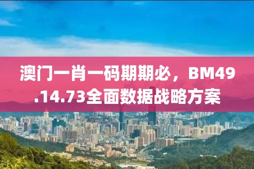 澳门一肖一码期期必，BM49.14.73全面数据战略方案