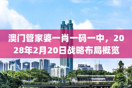澳门管家婆一肖一码一中，2028年2月20日战略布局概览