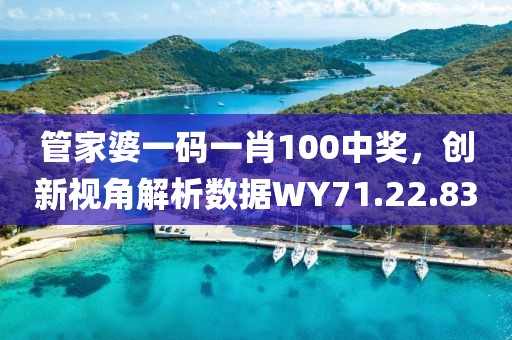管家婆一码一肖100中奖，创新视角解析数据WY71.22.83