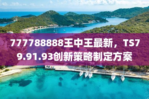 777788888王中王最新，TS79.91.93创新策略制定方案