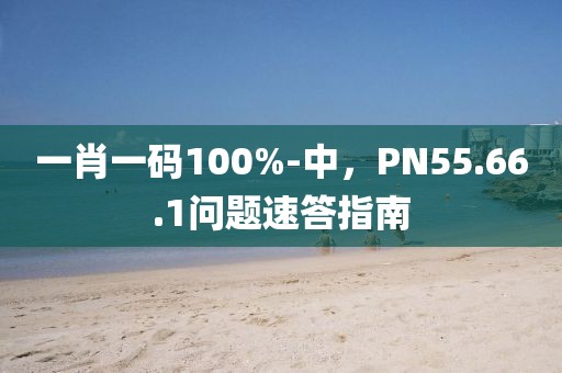 一肖一码100%-中，PN55.66.1问题速答指南