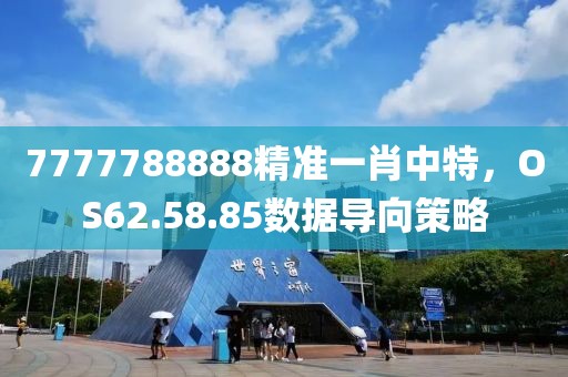 7777788888精准一肖中特，OS62.58.85数据导向策略