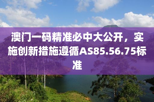 澳门一码精准必中大公开，实施创新措施遵循AS85.56.75标准