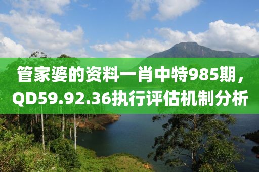 管家婆的资料一肖中特985期，QD59.92.36执行评估机制分析