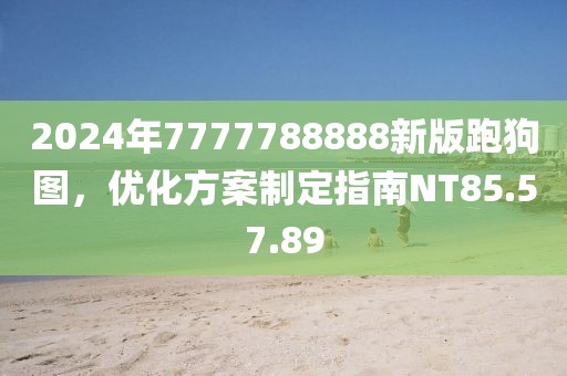 2024年7777788888新版跑狗图，优化方案制定指南NT85.57.89