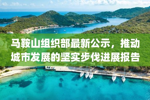 马鞍山组织部最新公示，推动城市发展的坚实步伐进展报告