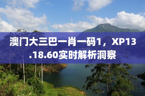 澳门大三巴一肖一码1，XP13.18.60实时解析洞察