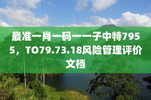 最准一肖一码一一子中特7955，TO79.73.18风险管理评价文档