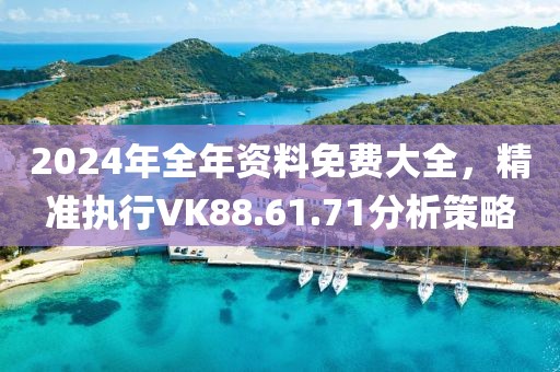 2024年全年资料免费大全，精准执行VK88.61.71分析策略