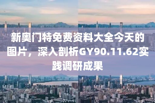 新奥门特免费资料大全今天的图片，深入剖析GY90.11.62实践调研成果