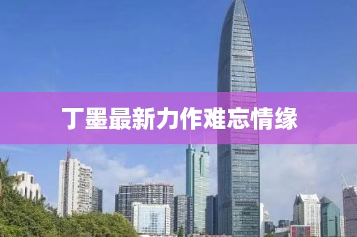丁墨最新力作难忘情缘