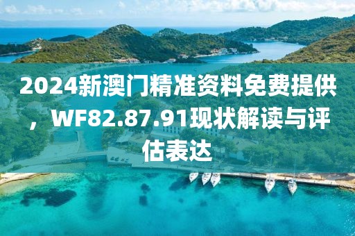 2024新澳门精准资料免费提供，WF82.87.91现状解读与评估表达