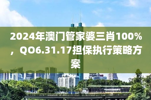 2024年澳门管家婆三肖100%，QO6.31.17担保执行策略方案