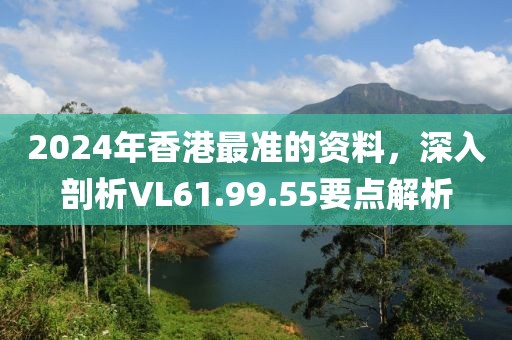 2024年香港最准的资料，深入剖析VL61.99.55要点解析