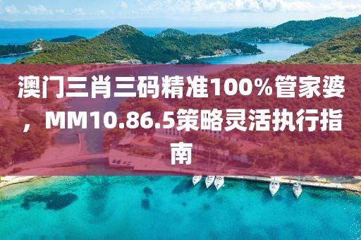 澳门三肖三码精准100%管家婆，MM10.86.5策略灵活执行指南