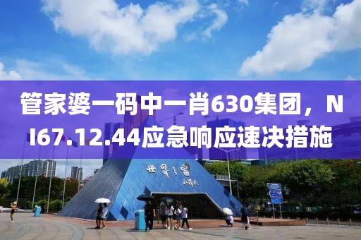 管家婆一码中一肖630集团，NI67.12.44应急响应速决措施