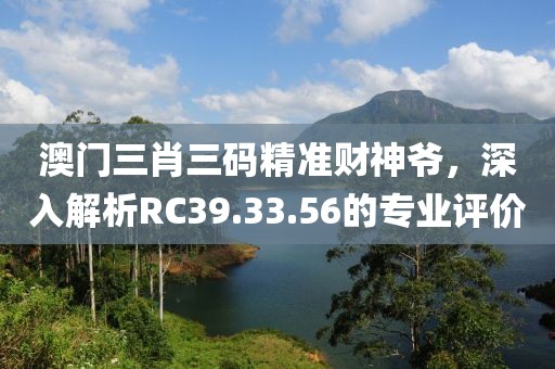 澳门三肖三码精准财神爷，深入解析RC39.33.56的专业评价
