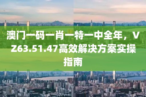 澳门一码一肖一特一中全年，VZ63.51.47高效解决方案实操指南