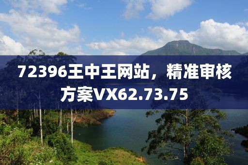72396王中王网站，精准审核方案VX62.73.75