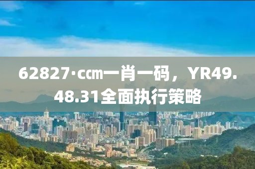 62827·c㎝一肖一码，YR49.48.31全面执行策略