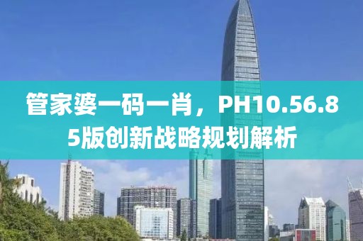 管家婆一码一肖，PH10.56.85版创新战略规划解析