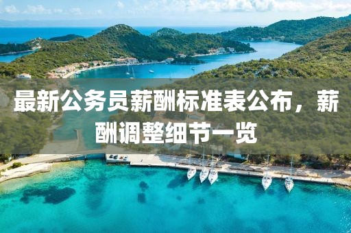 最新公务员薪酬标准表公布，薪酬调整细节一览