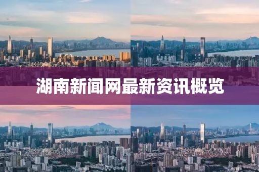 湖南新闻网最新资讯概览