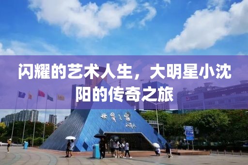 闪耀的艺术人生，大明星小沈阳的传奇之旅