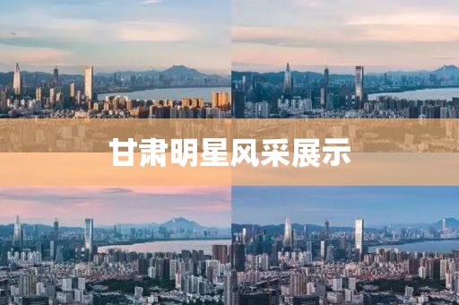 甘肃明星风采展示