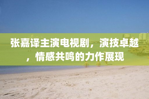 张嘉译主演电视剧，演技卓越，情感共鸣的力作展现